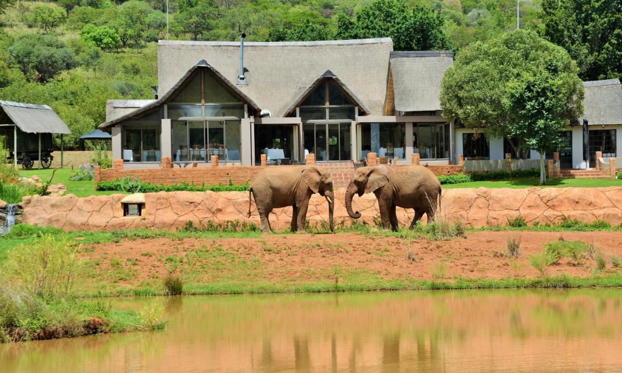 African Hills Safari Lodge & Spa Магалисбург Экстерьер фото
