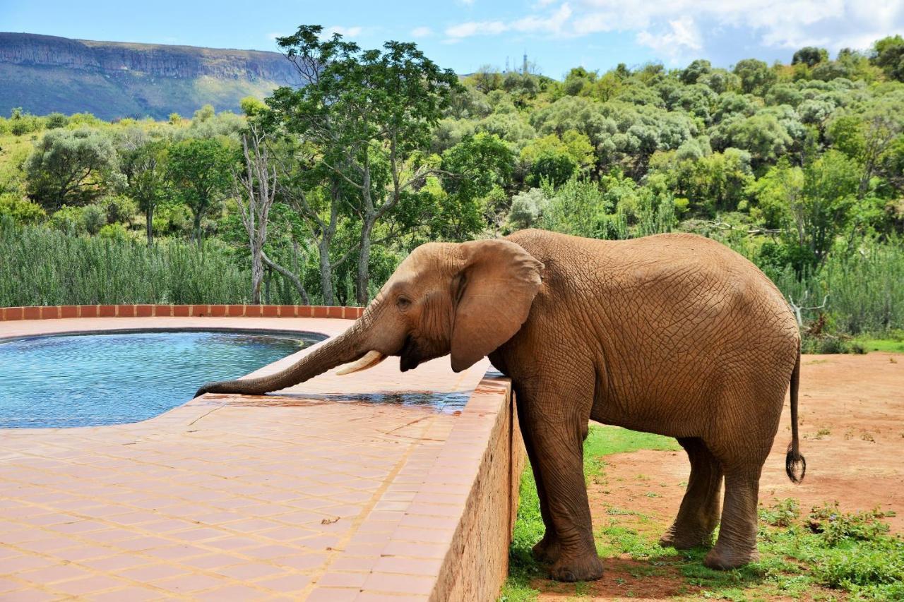 African Hills Safari Lodge & Spa Магалисбург Экстерьер фото