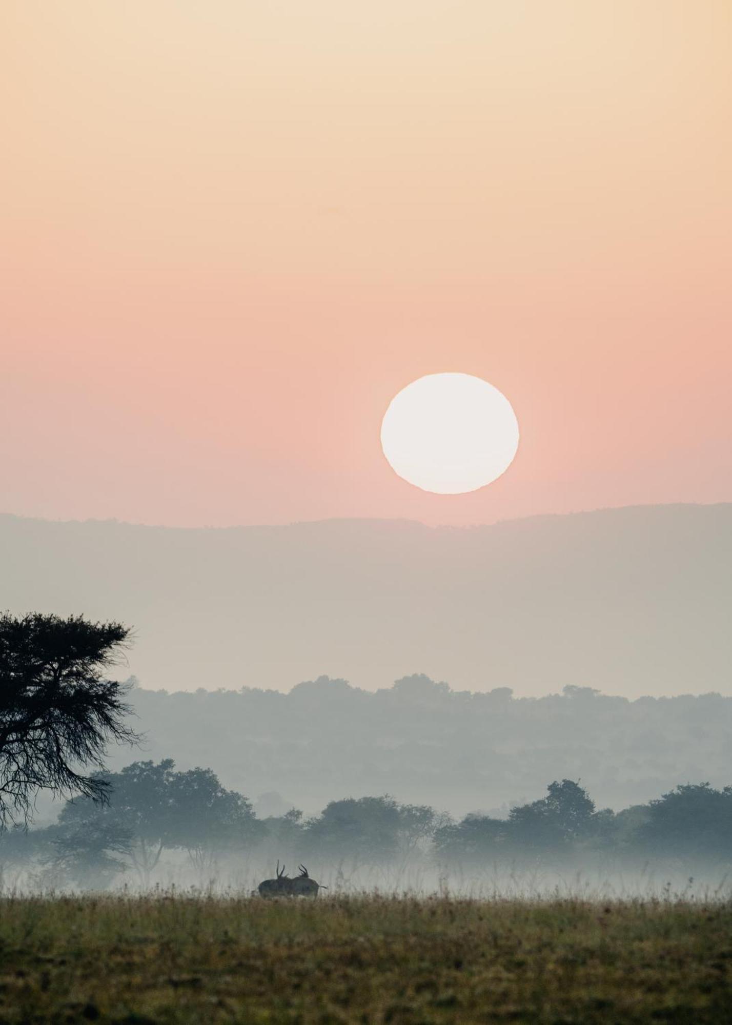 African Hills Safari Lodge & Spa Магалисбург Экстерьер фото