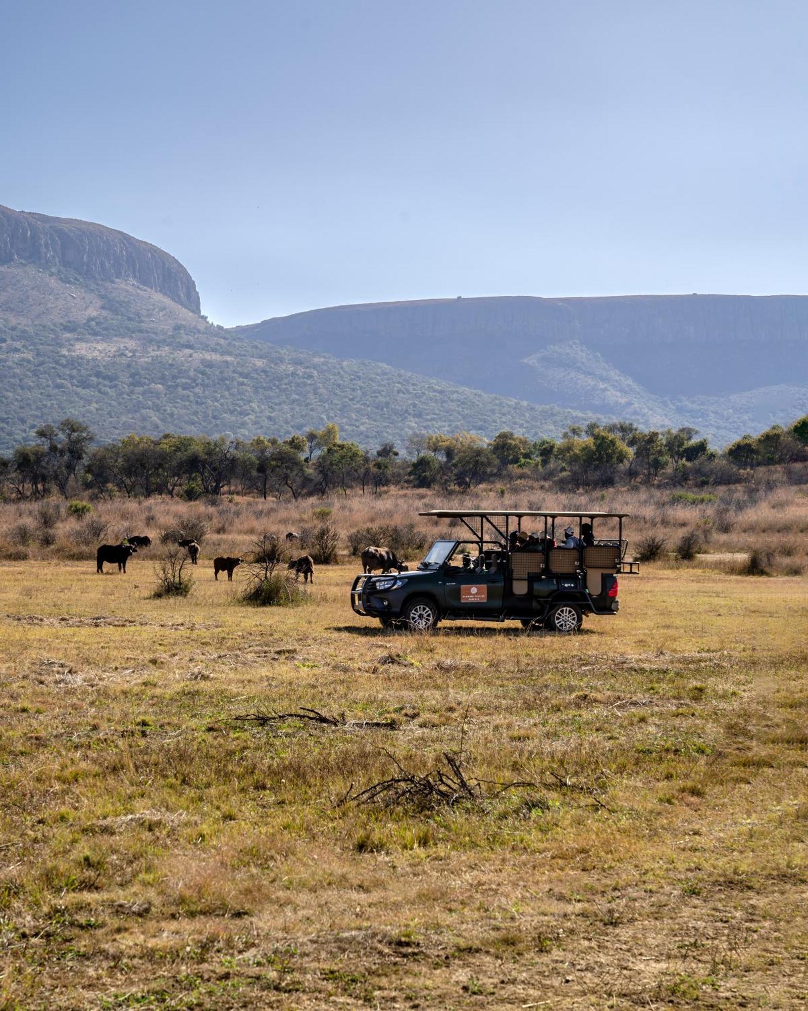 African Hills Safari Lodge & Spa Магалисбург Экстерьер фото